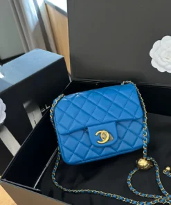 small bag with chain